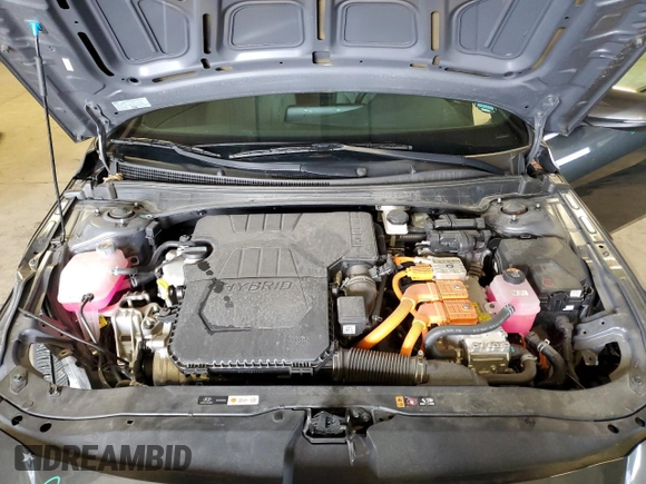 2024 Hyundai Elantra Limited с VIN KMHLN4DJ5RU106678, выставлен на аукционе Copart как лот 53912955 с пробегом 13 453 миль миль и Списание • Salvage title. История ставок и продаж доступна на DreamBid. Изображение 11.