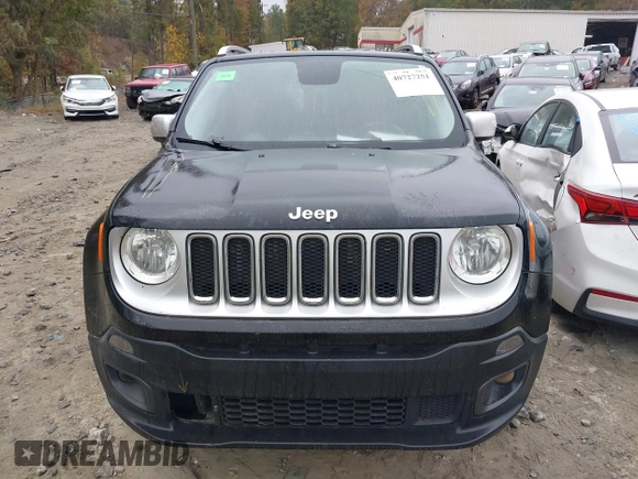 2017 Jeep Renegade Limited with VIN ZACCJBDB0HPE97445, listed as a IAAI auction lot 40727251 with 120,235 mi miles and . Bid and sale history available at DreamBid. Image 12.