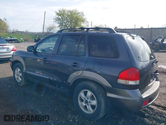 2005 Hyundai Santa Fe GLS with VIN KM8SC73D55U965052, listed as a IAAI auction lot 42124944 with 117,178 mi miles. Bid and sale history available at carsss.com. Image 3.