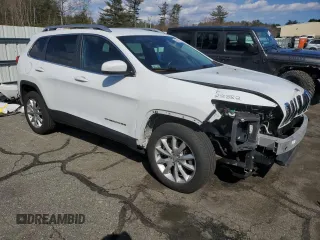 2016 Jeep Cherokee Limited with VIN 1C4PJMDB6GW261526, listed as a Copart auction lot 50379155 with 109,638 mi miles and Salvage title. Bid and sale history available at DreamBid. Image 4.