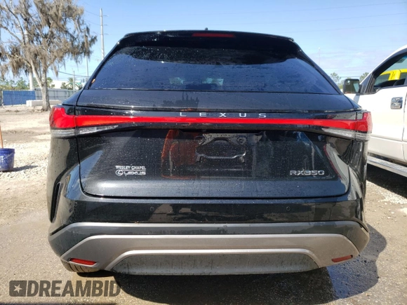 2023 Lexus RX with VIN 2T2BAMBA4PC007824, listed as a Copart auction lot 45815134 with 17,291 mi miles. Bid and sale history available at carsss.com. Image 6.