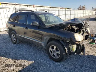 2003 Hyundai Santa Fe GLS with VIN KM8SC73D73U359572, listed as a Copart auction lot 77444224 with 368,459 mi miles and Salvage Title. Bid and sale history available at carsss.com. Image 4.