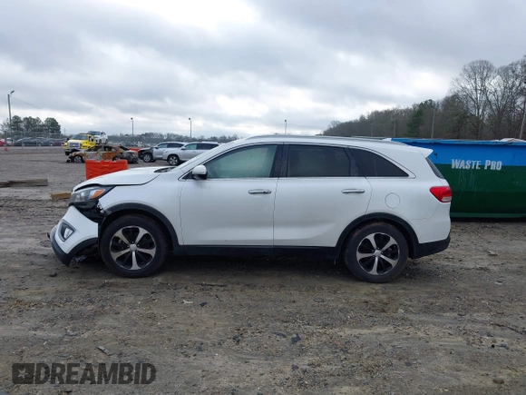2017 Kia Sorento EX with VIN 5XYPH4A13HG294599, listed as a IAAI auction lot 41207089 with 41,642 mi miles and . Bid and sale history available at DreamBid. Image 14.