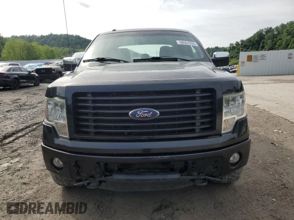 2014 Ford F-150 XL with VIN 1FTFW1EF4EFB23865, listed as a Copart auction lot 58557635 with 178,037 mi miles and Salvage title. Bid and sale history available at DreamBid. Image 5.