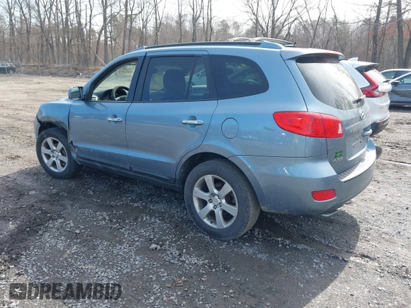2009 Hyundai Santa Fe SE with VIN 5NMSH13E69H332648, listed as a IAAI auction lot 41948343 with 164,653 mi miles and . Bid and sale history available at DreamBid. Image 3.