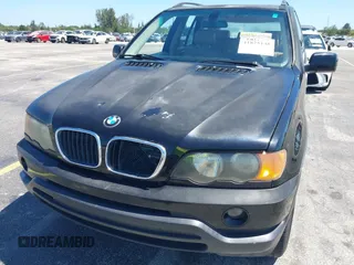 2002 BMW X5 3.0i with VIN 5UXFA53502LV70219, listed as a IAAI auction lot 41825148 with 0 mi miles. Bid and sale history available at carsss.com. Image 12.