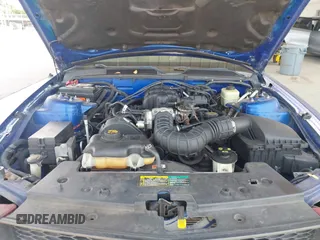 2005 Ford Mustang Deluxe with VIN 1ZVFT80N655176666, listed as a IAAI auction lot 42686893 with 218,881 mi miles and . Bid and sale history available at DreamBid. Image 10.