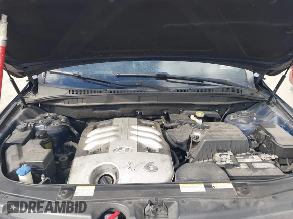 2007 Hyundai Veracruz GLS with VIN KM8NU13C97U024091, listed as a IAAI auction lot 42035459 with 224,755 mi miles and . Bid and sale history available at DreamBid. Image 10.