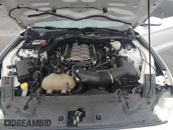 2019 Ford Mustang GT with VIN 1FA6P8CF5K5199725, listed as a Copart auction lot 47627995 with 57,896 mi miles and Clean title. Bid and sale history available at DreamBid. Image 11.