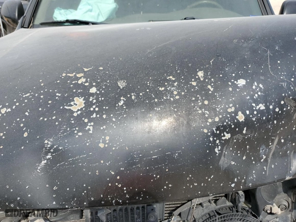 2004 Toyota Sequoia SR5 with VIN 5TDZT34A04S238386, listed as a Copart auction lot 53506305 with 0 mi miles and Salvage Title. Bid and sale history available at carsss.com. Image 11.
