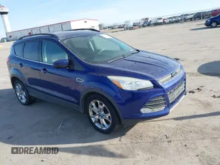 2014 Ford Escape SE with VIN 1FMCU0GX0EUB45748, listed as a IAAI auction lot 41778738 with 305,995 mi miles. Bid and sale history available at carsss.com. Image 1.