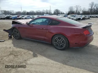2017 Ford Mustang V6 with VIN 1FA6P8AM9H5320606, listed as a Copart auction lot 49329445 with Not Provided miles and Clean Title. Bid and sale history available at carsss.com. Image 2.