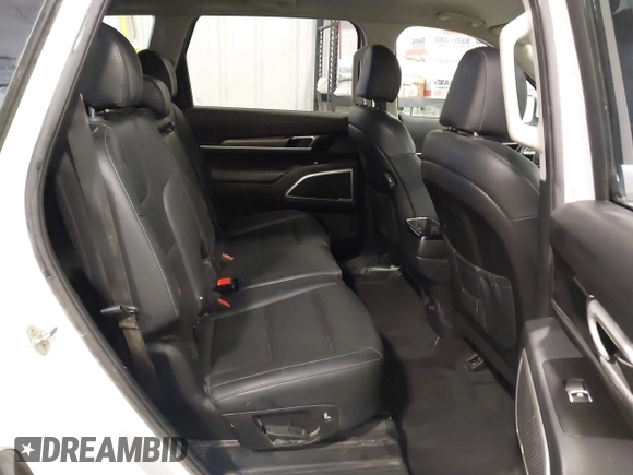 2020 Kia Telluride LX with VIN 5XYP2DHC1LG052749, listed as a IAAI auction lot 42234107 with 158,605 mi miles and . Bid and sale history available at DreamBid. Image 8.