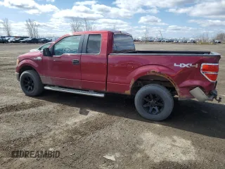 2013 Ford F-150 XL with VIN 1FTFX1EF0DFB86523, listed as a Copart auction lot 53498135 with 460,305 mi miles and Salvage title. Bid and sale history available at DreamBid. Image 2.