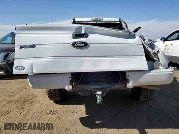 2009 Ford F-150 XL with VIN 1FTPW14V19FA66429, listed as a Copart auction lot 46923705 with 157,630 mi miles and Non Repairable. Bid and sale history available at DreamBid. Image 6.