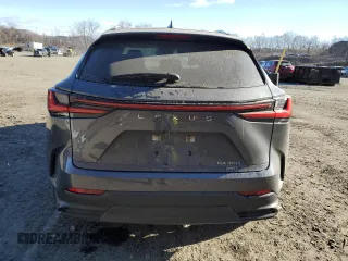 2023 Lexus NX with VIN JTJAGCEZ6P5005304, listed as a Copart auction lot 87232564 with 11,334 mi miles and Salvage Title. Bid and sale history available at carsss.com. Image 6.