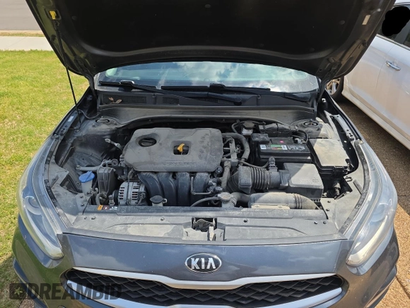 2019 Kia Forte LXS with VIN 3KPF24AD1KE116010, listed as a Copart auction lot 54103495 with 122,049 mi miles and Clean Title. Bid and sale history available at carsss.com. Image 7.