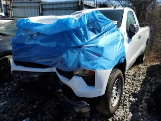 2025 Chevrolet Silverado 1500 with VIN 3GCNKAED8SG137655, listed as a Copart auction lot 48825395 with 2,158 mi miles and Salvage Title. Bid and sale history available at DreamBid. Image 1.