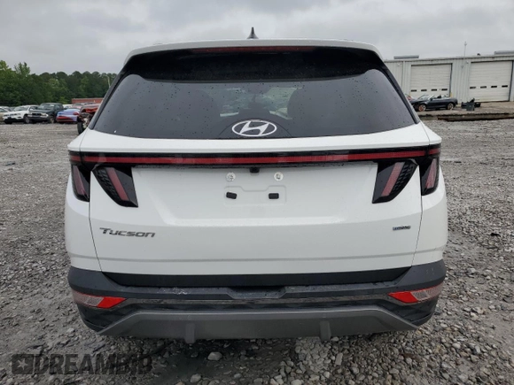 2023 Hyundai Tucson Limited with VIN 5NMJECAEXPH201688, listed as a Copart auction lot 56013095 with 36,018 mi miles and Salvage title. Bid and sale history available at DreamBid. Image 6.