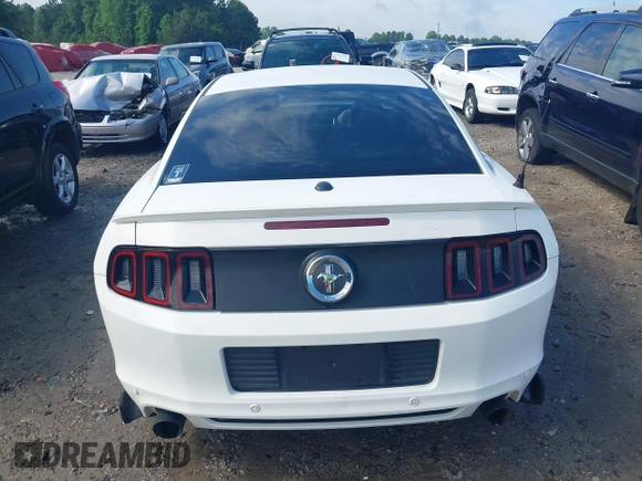 2013 Ford Mustang V6 with VIN 1ZVBP8AMXD5281234, listed as a IAAI auction lot 42260113 with 124,188 mi miles and . Bid and sale history available at DreamBid. Image 16.