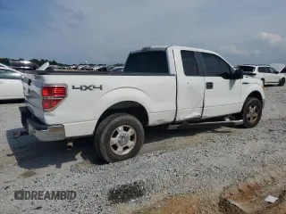 2010 Ford F-150 XL with VIN 1FTEX1E89AFB10260, listed as a Copart auction lot 57491885 with 185,044 mi miles and Salvage title. Bid and sale history available at DreamBid. Image 3.
