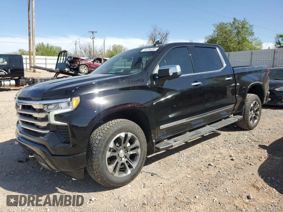 2025 Chevrolet Silverado 1500 with VIN 2GCPAFED6S1116613, listed as a Copart auction lot 48756285 with 1,136 mi miles and Salvage Title. Bid and sale history available at DreamBid. Image 1.