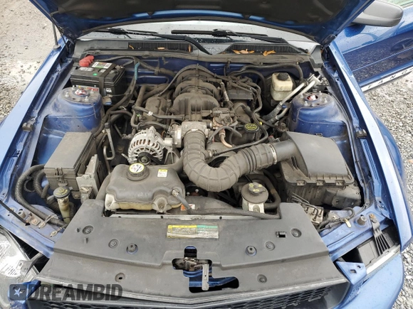 2008 Ford Mustang Deluxe with VIN 1ZVHT84N685143447, listed as a Copart auction lot 48021925 with 79,302 mi miles and Salvage Title. Bid and sale history available at carsss.com. Image 11.