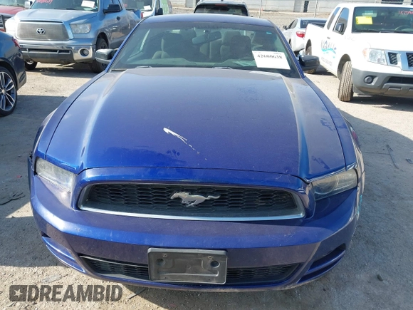 2014 Ford Mustang V6 z VIN 1ZVBP8AM2E5262050, wystawiony jako IAAI lot #42600638 z przebiegiem 208 708 mil mil oraz . Historia ofert i sprzedaży dostępna na DreamBid. Obrazek 12.