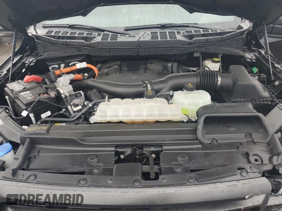 2023 Ford F-150 XL with VIN 1FTFW1ED2PFD30384, listed as a Copart auction lot 55593215 with 21,107 mi miles and Clean title. Bid and sale history available at DreamBid. Image 11.