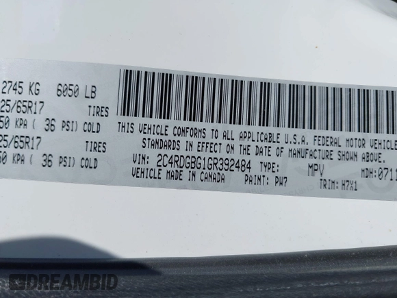 2016 Dodge Grand Caravan SE with VIN 2C4RDGBG1GR392484, listed as a IAAI auction lot 41663549 with 126,882 mi miles and . Bid and sale history available at DreamBid. Image 9.