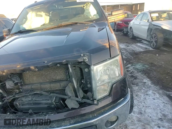 2014 Ford F-150 XL with VIN 1FTFX1ET9EFA56148, listed as a Copart auction lot 42361655 with 240,231 mi miles and Salvage Title. Bid and sale history available at carsss.com. Image 11.