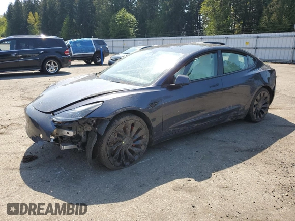 2022 Tesla Model 3 Performance with VIN 5YJ3E1EC1NF262416, listed as a Copart auction lot 54356025 with Not Provided miles and Salvage Title. Bid and sale history available at DreamBid. Image 1.
