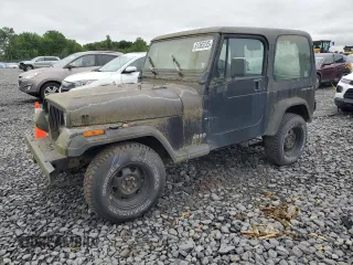 1994 Jeep Wrangler with VIN 1J4FY29S9RP422835, listed as a Copart auction lot 61365235 with 183,566 mi miles and Clean title. Bid and sale history available at DreamBid. Image 1.