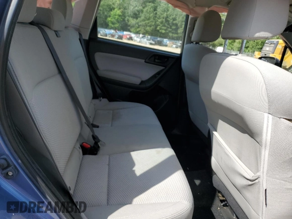 2017 Subaru Forester with VIN JF2SJABC2HH590879, listed as a Copart auction lot 61552555 with Not provided miles and Salvage title. Bid and sale history available at DreamBid. Image 11.