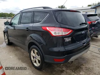 2014 Ford Escape SE with VIN 1FMCU9G99EUE48159, listed as a Copart auction lot 66864794 with 175,990 mi miles and Salvage Title. Bid and sale history available at DreamBid. Image 2.