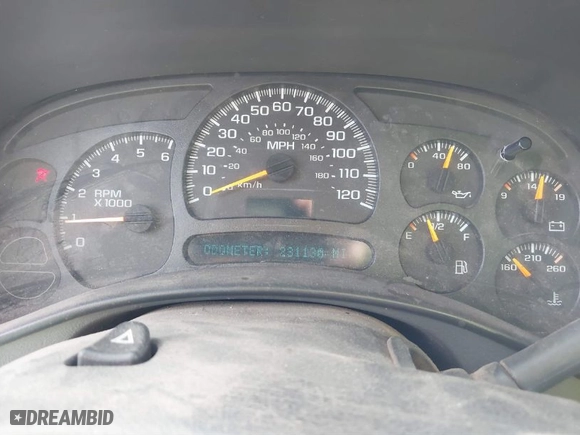 2005 Chevrolet Silverado 1500 Work Truck with VIN 1GCEC19X15Z116832, listed as a IAAI auction lot 41844122 with 231,130 mi miles. Bid and sale history available at carsss.com. Image 7.