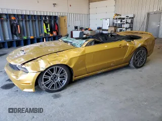 2010 Ford Mustang GT with VIN 1ZVBP8FH3A5120523, listed as a Copart auction lot 49859765 with Not provided miles and Salvage title. Bid and sale history available at DreamBid. Image 1.