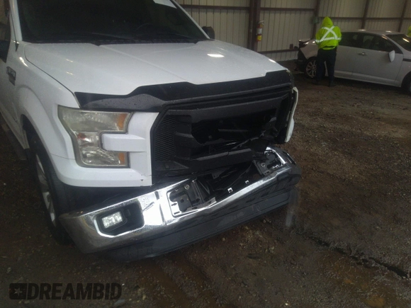 2016 Ford F-150 XL with VIN 1FTEX1CP2GKF17539, listed as a IAAI auction lot 41564689 with 251,000 mi miles and . Bid and sale history available at carsss.com. Image 6.