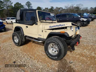 1993 Jeep Wrangler with VIN 1J4FY29S5PP247657, listed as a Copart auction lot 41595585 with 185,962 mi miles and Salvage Title. Bid and sale history available at carsss.com. Image 4.