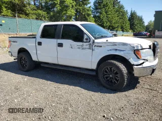 2010 Ford F-150 XL with VIN 1FTEW1E8XAFB89795, listed as a Copart auction lot 62423115 with 402,162 mi miles and Salvage title. Bid and sale history available at DreamBid. Image 4.