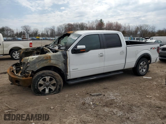 2011 Ford F-150 XLT with VIN 1FTFW1ET2BFB94838, listed as a Copart auction lot 49818905 with 0 mi miles and Salvage Title. Bid and sale history available at carsss.com. Image 1.