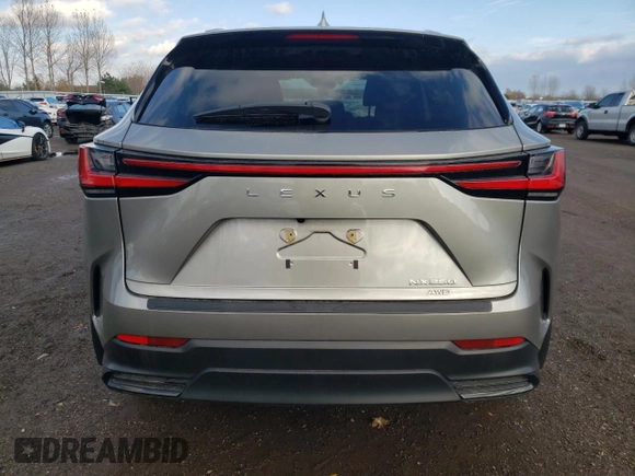 2022 Lexus NX with VIN 2T2ADCEZ0NC001885, listed as a Copart auction lot 74491073 with 17,433 mi miles. Bid and sale history available at carsss.com. Image 6.