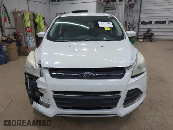 2016 Ford Escape SE с VIN 1FMCU9GX9GUC61831, выставлен на аукционе IAAI как лот 42237521 с пробегом 112 627 миль миль и . История ставок и продаж доступна на DreamBid. Изображение 12.