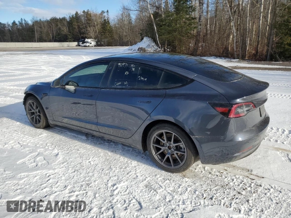 2023 Tesla Model 3 with VIN 5YJ3E1EA7PF496089, listed as a Copart auction lot 87101254 with 42,830 mi miles and Salvage Title. Bid and sale history available at DreamBid. Image 2.