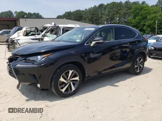 2019 Lexus NX 300h with VIN JTJBJRBZ3K2104833, listed as a Copart auction lot 60266395 with 109,030 mi miles and Salvage title. Bid and sale history available at DreamBid. Image 1.