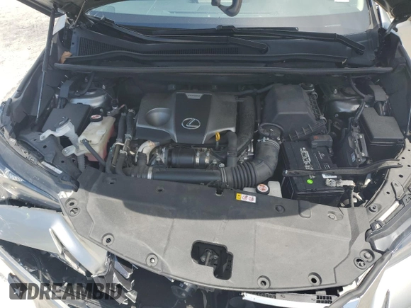 2021 Lexus NX 300 with VIN JTJGARBZ4M2180456, listed as a Copart auction lot 59181055 with 45,456 mi miles and Salvage title. Bid and sale history available at DreamBid. Image 12.
