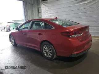 2019 Hyundai Sonata SE with VIN 5NPE24AF1KH745579, listed as a Copart auction lot 47007445 with 48,980 mi miles and Salvage Title. Bid and sale history available at carsss.com. Image 2.