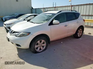 2013 Nissan Murano LE with VIN JN8AZ1MU6DW205374, listed as a Copart auction lot 52873975 with 193,205 mi miles and Clean Title. Bid and sale history available at carsss.com. Image 1.