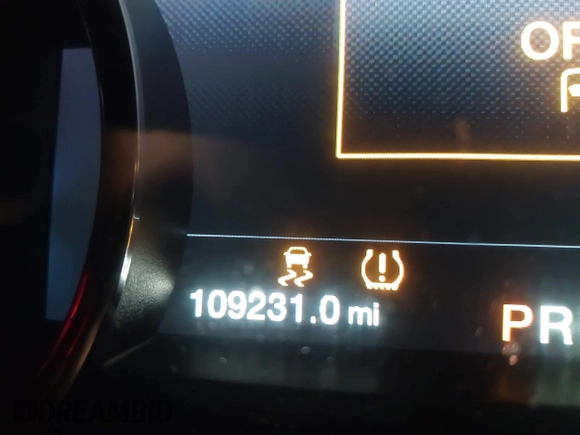 2019 Ford F-150 Raptor with VIN 1FTFW1RG9KFA40236, listed as a IAAI auction lot 41833222 with 109,231 mi miles. Bid and sale history available at carsss.com. Image 16.