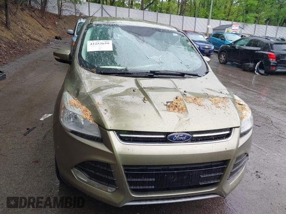 2013 Ford Escape SEL с VIN 1FMCU9HX2DUB52251, выставлен на аукционе IAAI как лот 42253659 с пробегом Не указан миль и . История ставок и продаж доступна на DreamBid. Изображение 12.